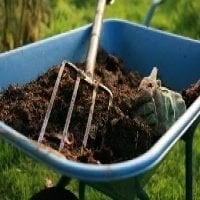 Creating A Pet Friendly Yard