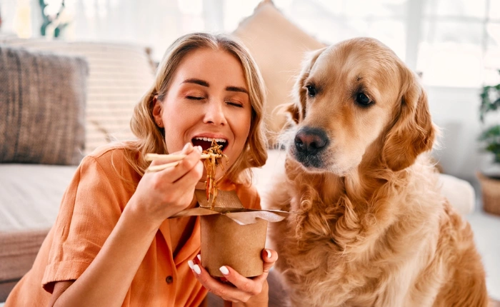April Newsletter: How You Can Help Prevent Pancreatitis in Your Pets