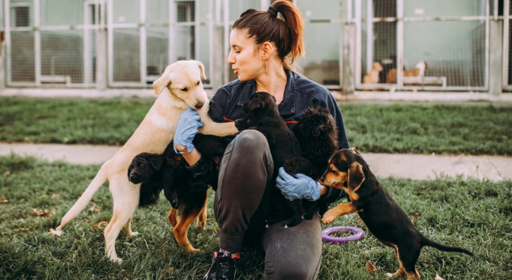 How to Make Your Rescue Pet Feel Comfortable in Your Home
