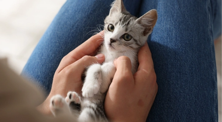 July Newsletter: How to Properly Care for Your New Pet