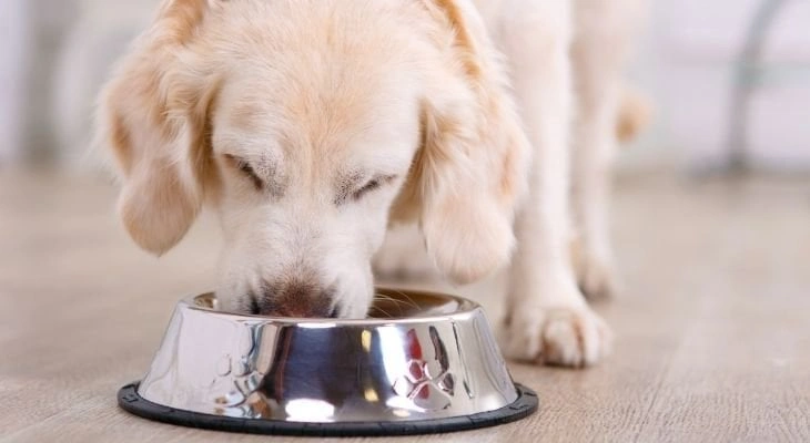 Mealtime
