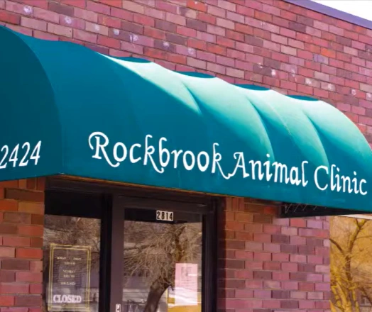 About Us video poster for Rockbrook Animal Clinic