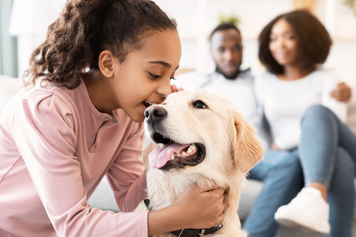 Assisting Anxious Pets