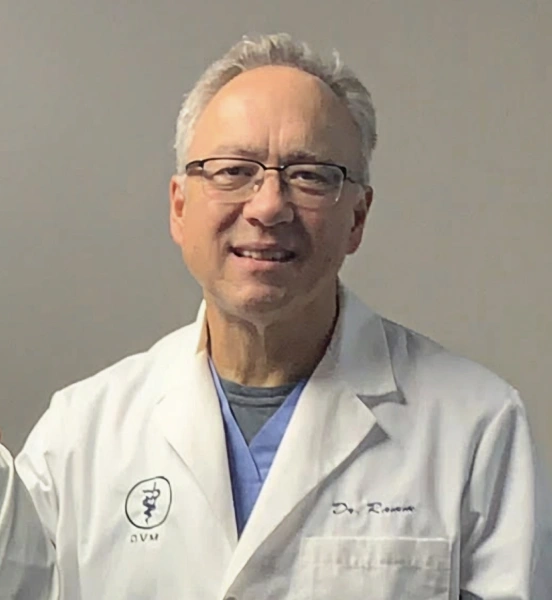 Dr. Martin Ramm, veterinarian at Rockbrook Animal Clinic.