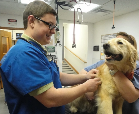 Dr. Matt Vipond