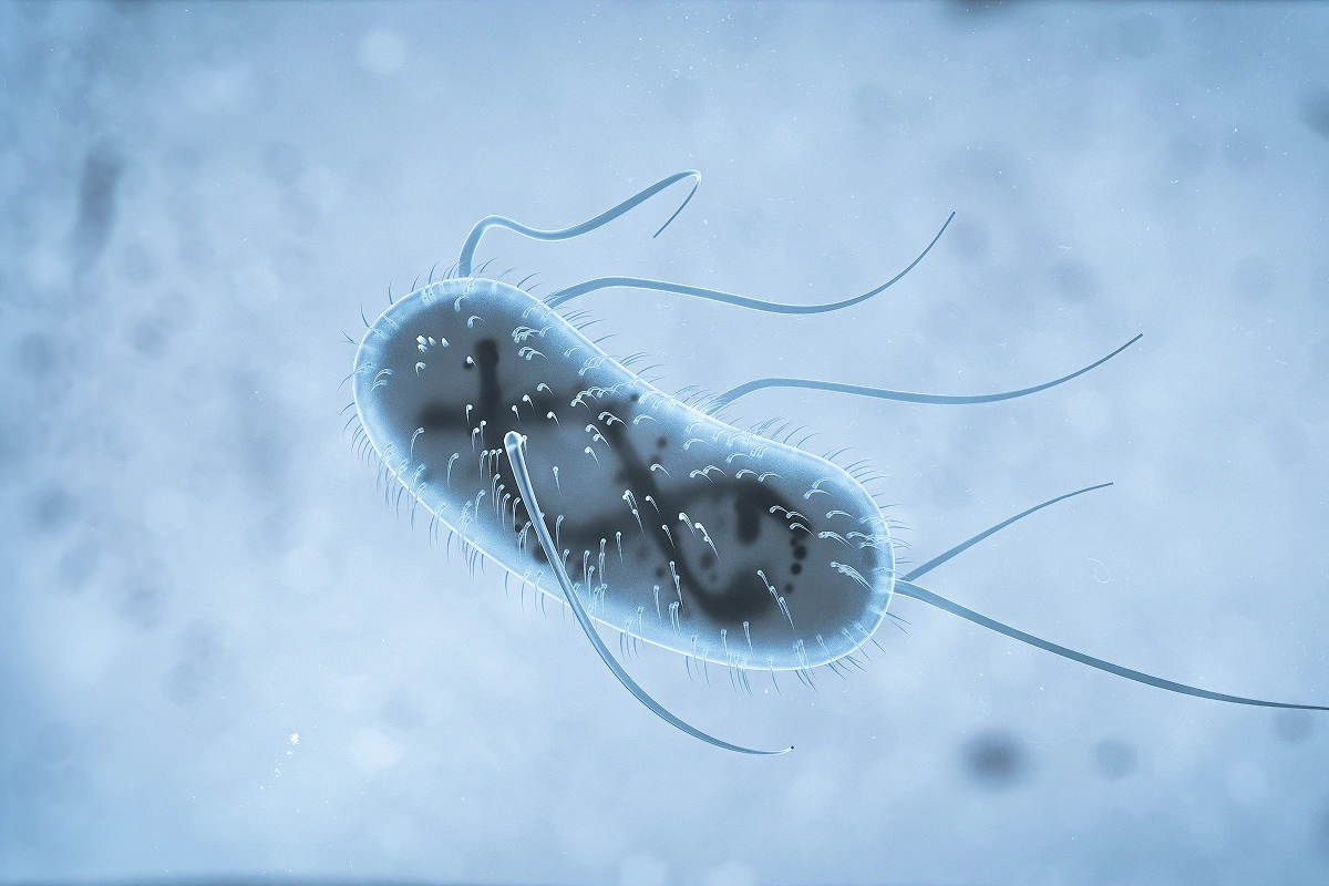 Giardia: A Parasite of Many Species