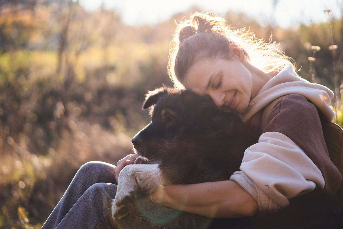 Internet Reunites Lost Pets and Owners