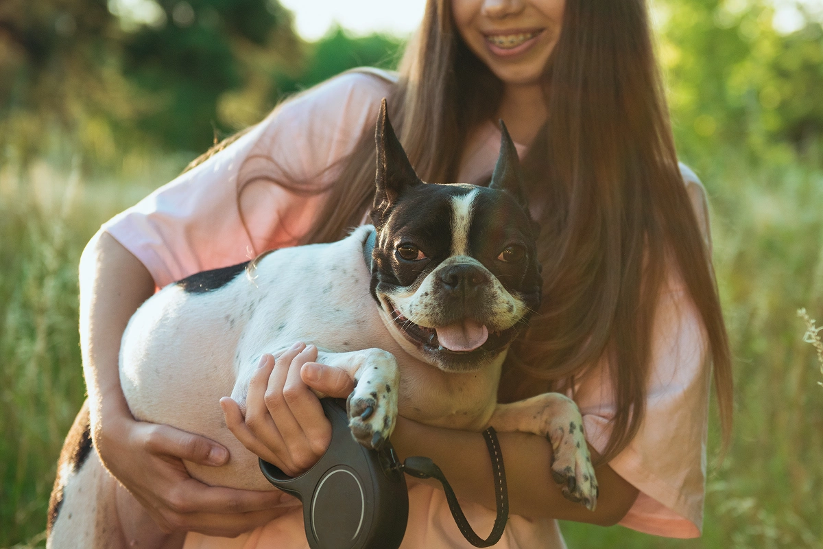 Microchipping Your Pet