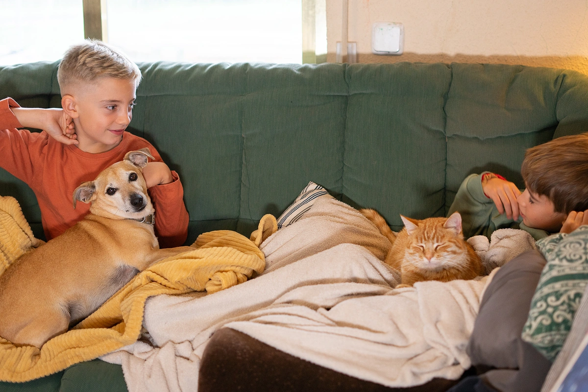 Multiple Pets Benefit Families