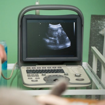 Veterinary diagnostic care using advanced testing and imaging to evaluate a pet’s health.