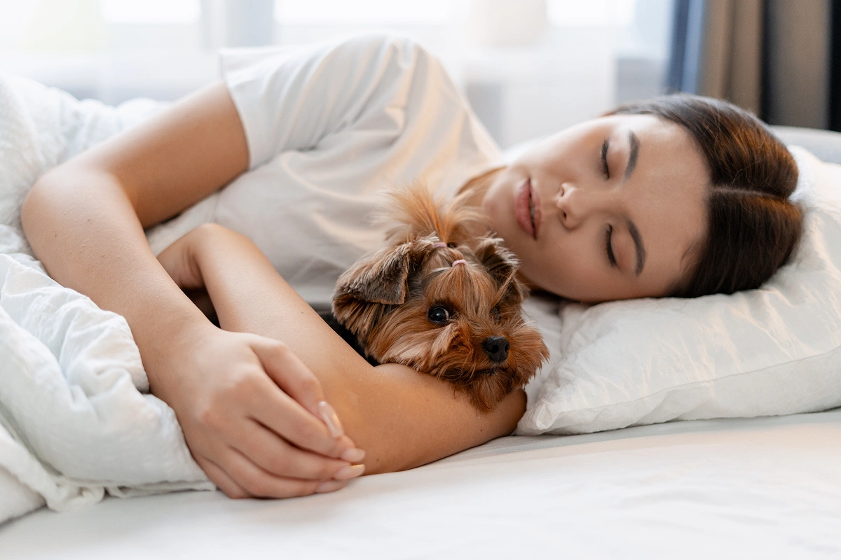 Take Preventative Measures When Sleeping With Pets