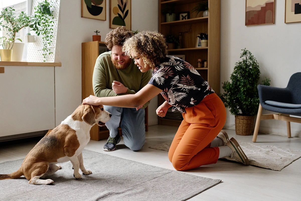 Understanding Pet Behavior