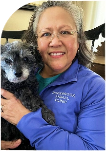 Veterinary team member holding a small dog